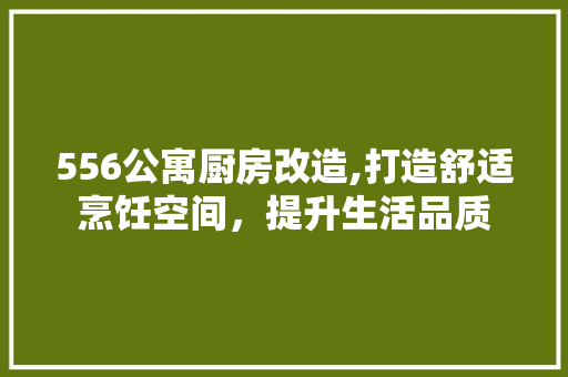 556公寓厨房改造,打造舒适烹饪空间，提升生活品质