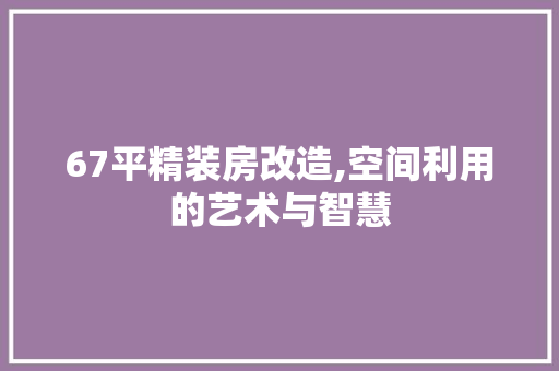 67平精装房改造,空间利用的艺术与智慧 墙面装饰