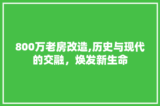 800万老房改造,历史与现代的交融，焕发新生命 庭院装修