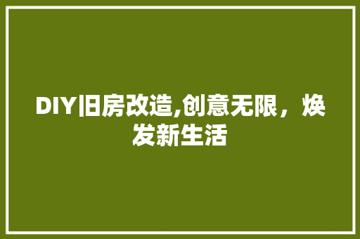 DIY旧房改造,创意无限，焕发新生活 建筑设计