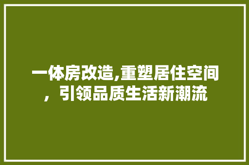 一体房改造,重塑居住空间，引领品质生活新潮流 装修材料