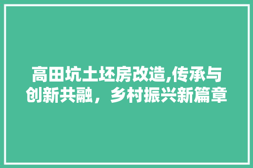 高田坑土坯房改造,传承与创新共融，乡村振兴新篇章 隔断设计