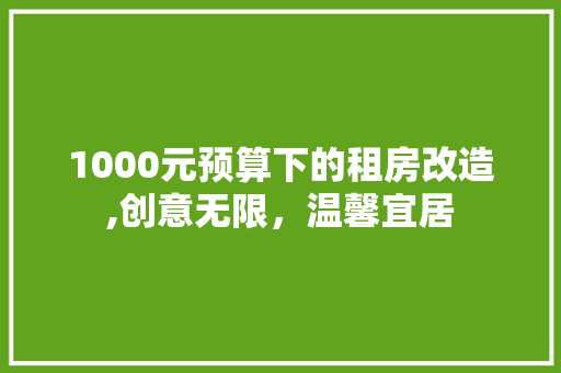 1000元预算下的租房改造,创意无限，温馨宜居 装修材料
