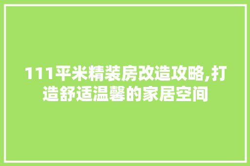 111平米精装房改造攻略,打造舒适温馨的家居空间