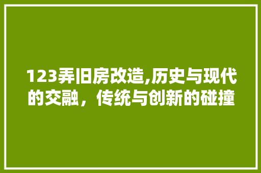 123弄旧房改造,历史与现代的交融，传统与创新的碰撞