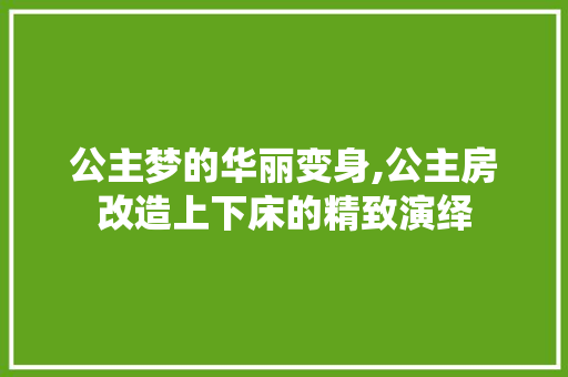 公主梦的华丽变身,公主房改造上下床的精致演绎 建筑设计