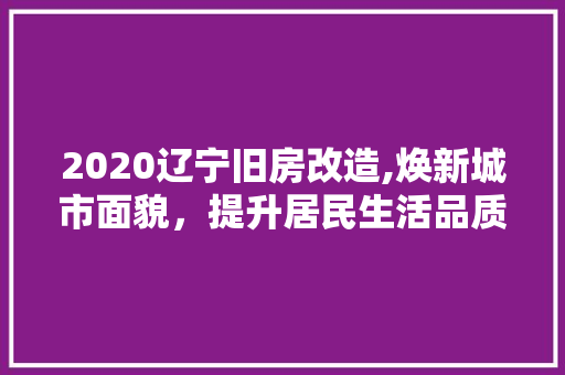 2020辽宁旧房改造,焕新城市面貌，提升居民生活品质